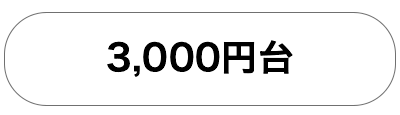 3000円台