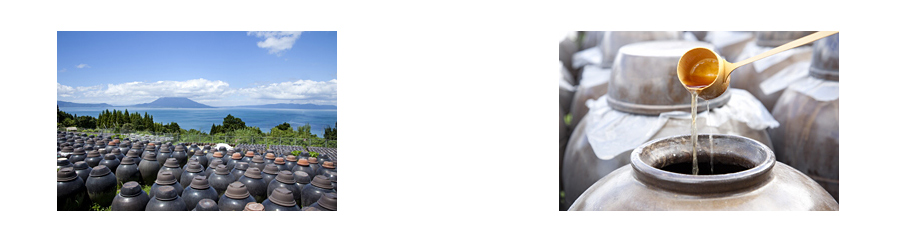 鹿児島の晴天に並ぶ亀ツボ