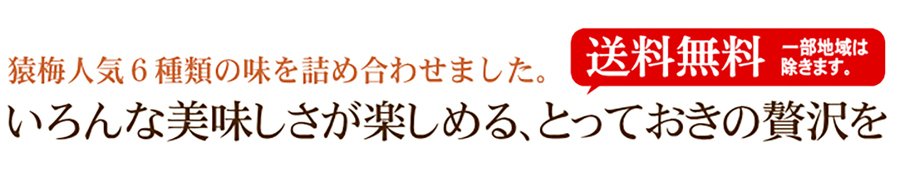 いろんな美味しさが楽しめる6種類の梅干しの詰め合わせ