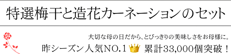 特選梅干しと造花カーネーションのセット