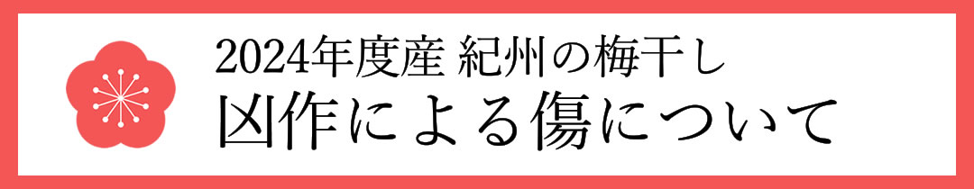 2024年度産の梅干しについて