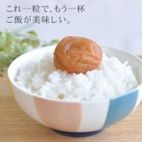 猿梅まろやか（手土産用）180g