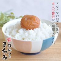 猿梅きわみ（贈答用）350g