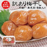 訳ありB級梅干し（猿梅ひかえめ）450g