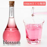 さくら梅酒 blossom