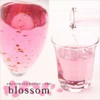 さくら梅酒 blossom