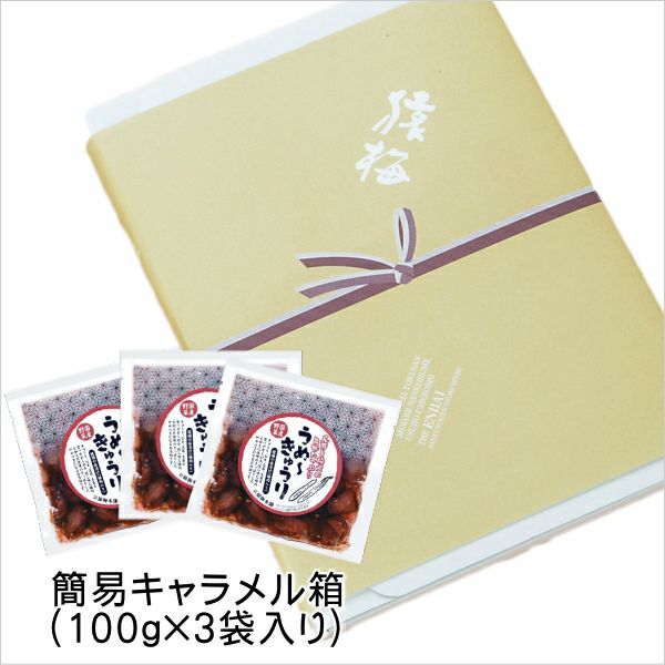 うめ～きゅうり しば漬け風味（100g×3袋）手土産用