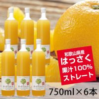 はっさくジュース（750ml×6本）果汁100％ストレート