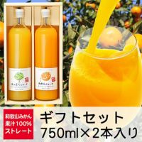 和歌山みかんジュース（2本セット）果汁100％ストレート