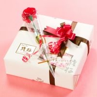 母の日限定 猿梅の梅干し・まろやか（520g）造花カーネーション付き