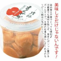 猿梅ペットボトル入り380g