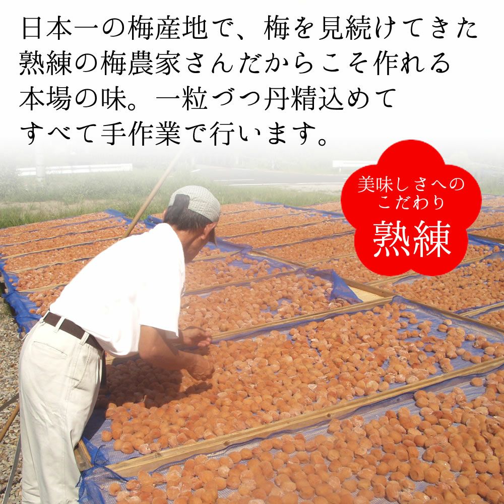 梅農家さんの技